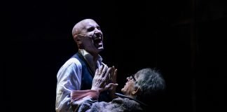 Da domani a giovedì 27 febbraio al Teatro Galli “Il caso Jekyll”tratto dal celebre romanzo Stevenson
